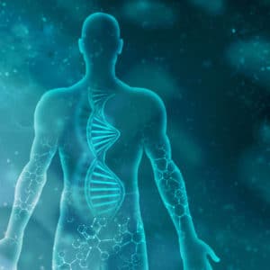 Aufbau DNA Seminar: Vertiefe die Grundlagen der ThetaHealing® Technik und lerne Neues dazu.
